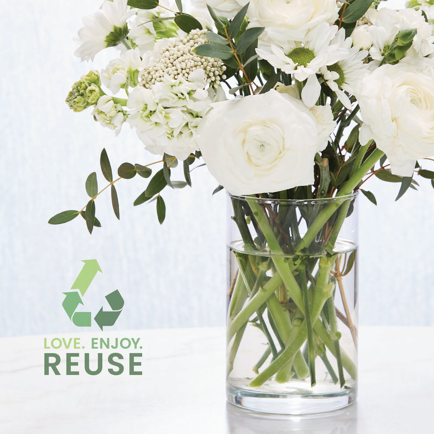 Canyon Pine
