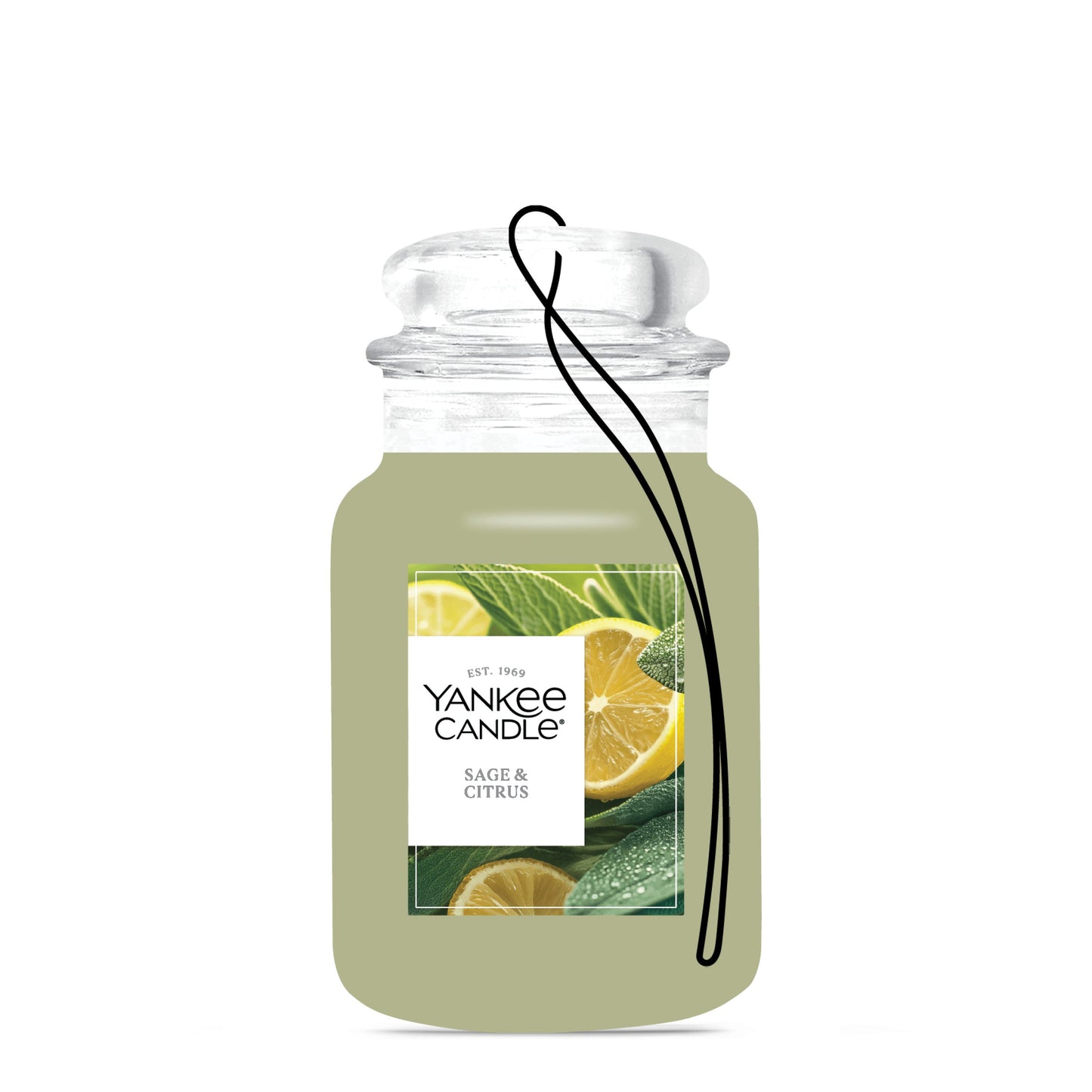 Sage & Citrus Studio 4-0402
